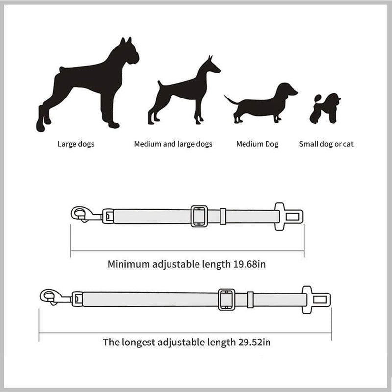 Cinto adaptado para Pets - Bandera - Bandera